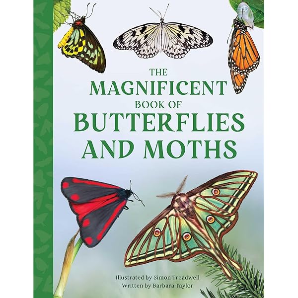 Butterflies & Moths, The World Encyclopedia of: A natural history Butterflies & Moths, The World Encyclopedia of: A natural history